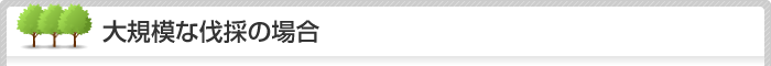 大規模な伐採の場合