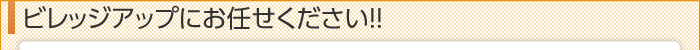 ビレッジアップにお任せください！！