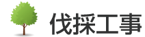 伐採工事